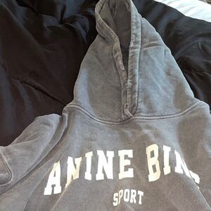 Anine Bing Gray Hoodie